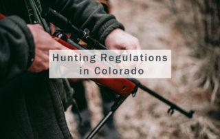 Hunting Regulations in Colorado