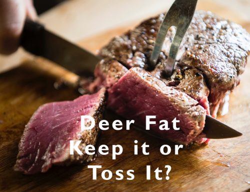 Deer Fat — Keep It or Toss It?