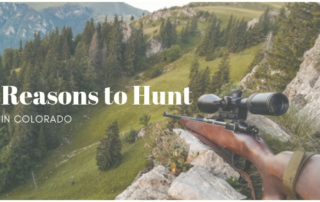 hunting in Colorado