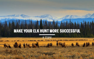 elk hunting tips