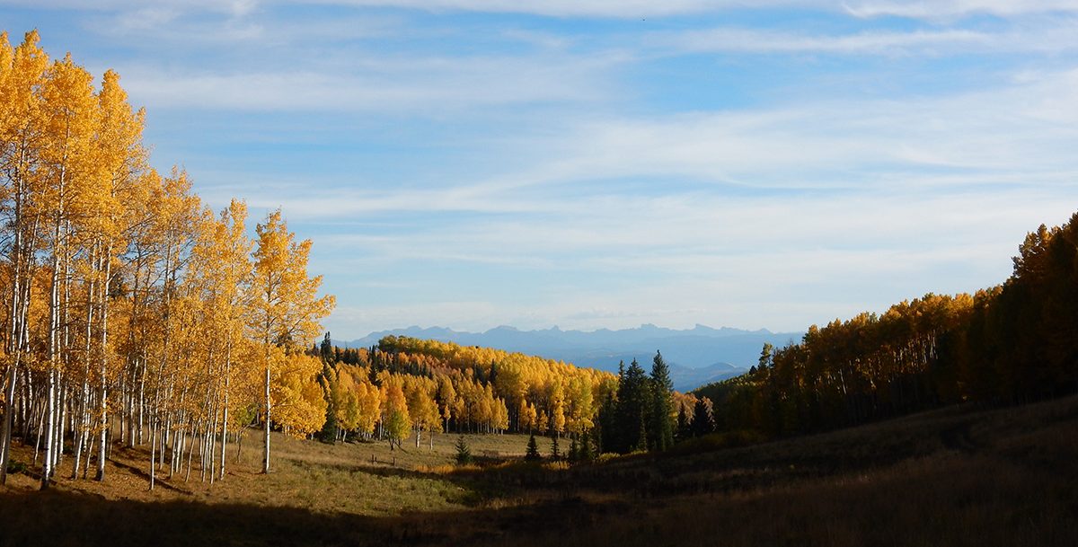 fall hunting in Colorado
