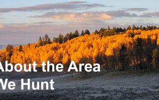 About the Area We Hunt in Gunnison National Forest