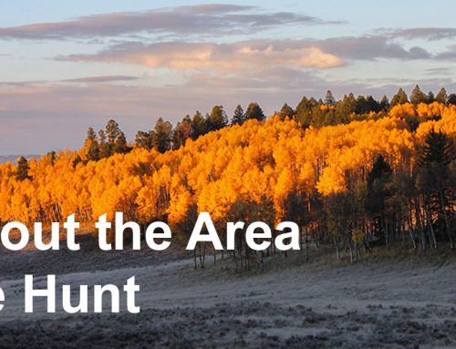 About the Area We Hunt in Gunnison National Forest