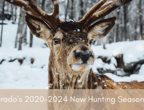 Colorado’s 2020-2024 New Hunting Season Dates