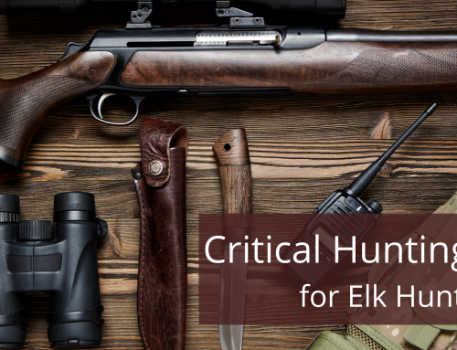 Critical Hunting Gear for Elk Hunts