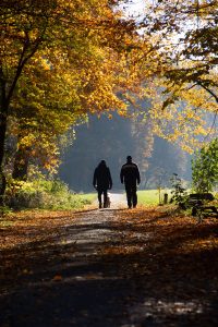 Two people taking a walk outside under fall-colored trees begin their hunting fitness journey. 