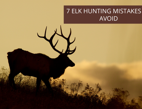 7 Elk Hunting Mistakes to Avoid