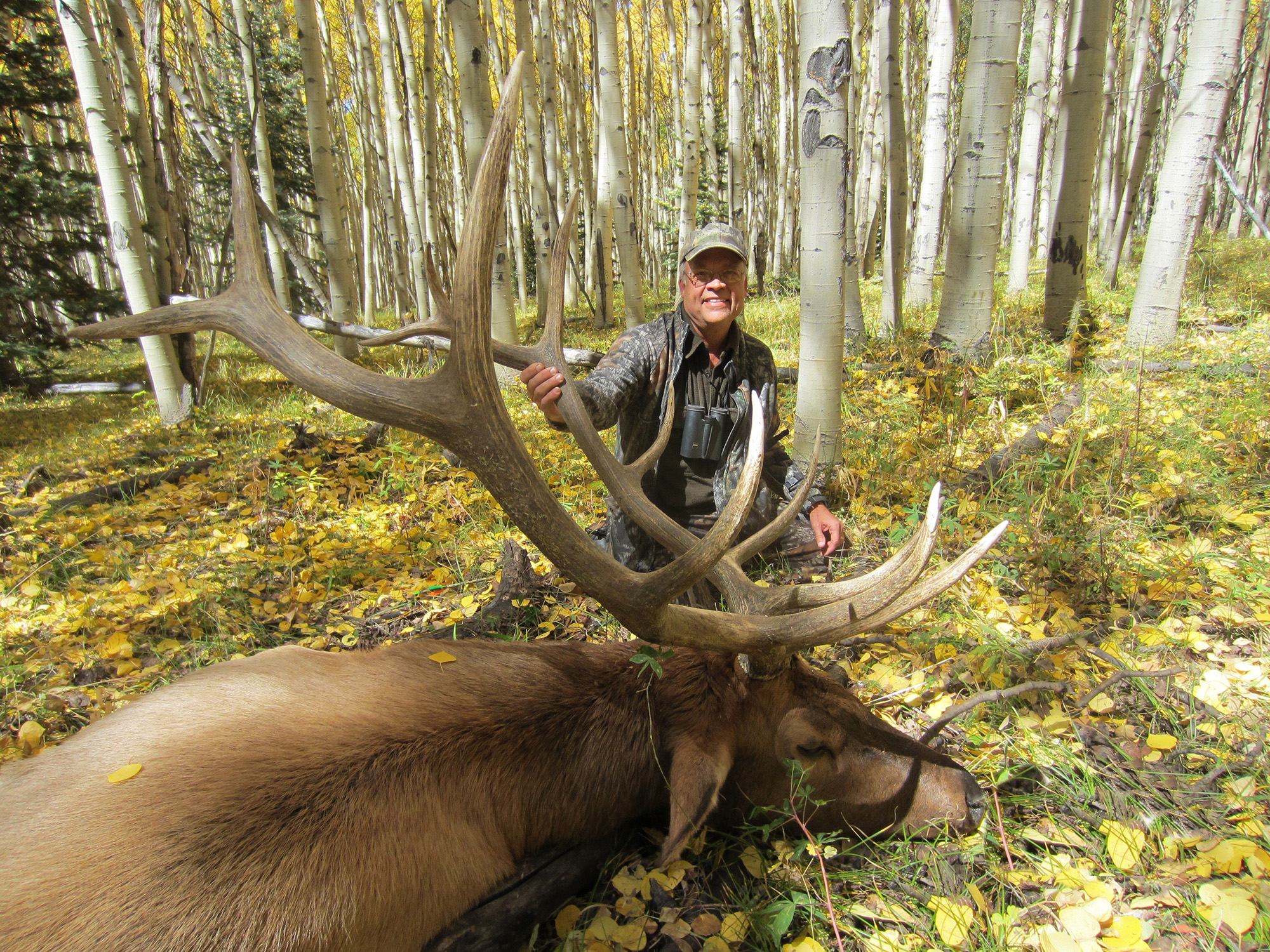 Elk Hunting in Colorado Rifles Soap Mesa Outfitters