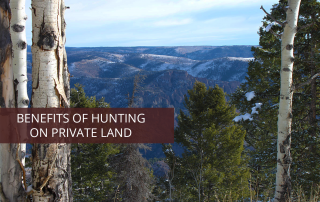 Soap Mesa Outfitters hunting on private land; view of the Rockies.