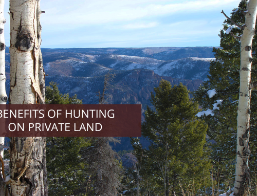 Benefits of Hunting on Private Land