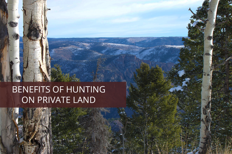 benefits-of-hunting-on-private-land-soap-mesa-outfitters
