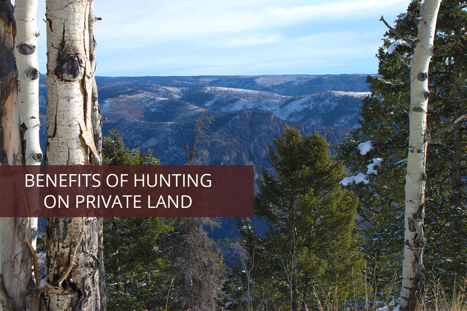 Soap Mesa Outfitters hunting on private land; view of the Rockies.