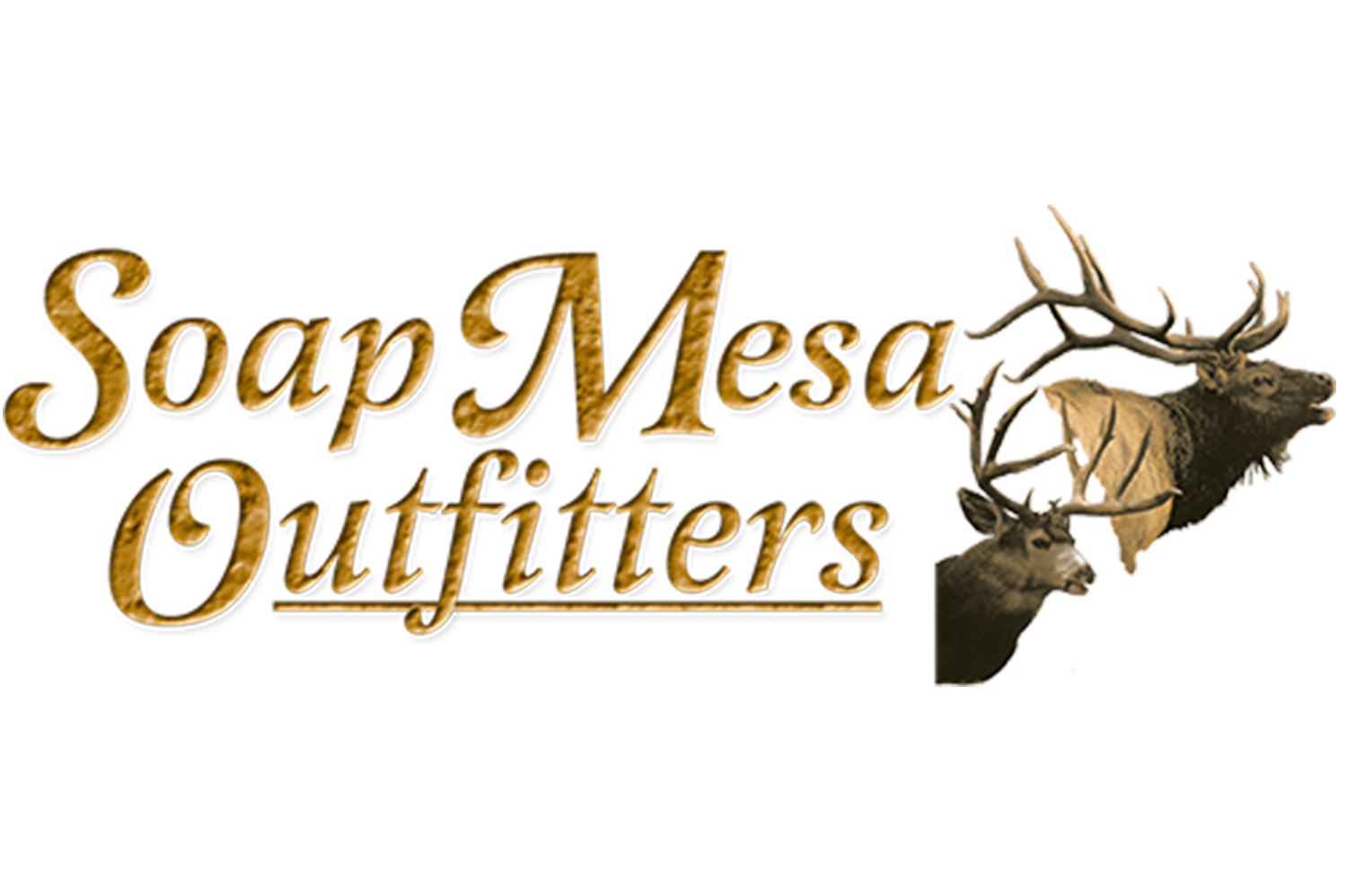 How to Care for Your Hunting Rifle Soap Mesa Outfitters