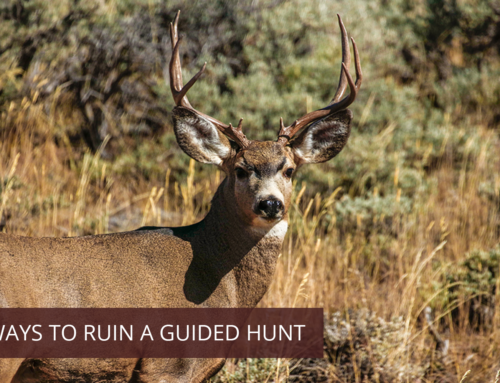 5 Ways to Ruin a Guided Hunt