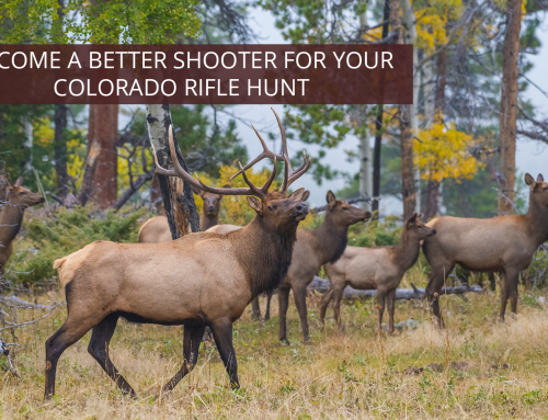 Become a Better Shooter for your Colorado Rifle Hunt