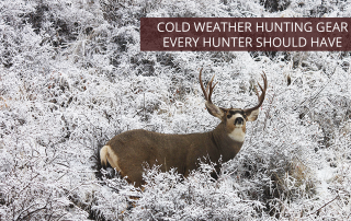 A mule deer buck on a snowy hill - cold weather hunting gear would be necessary to hunt this animal.