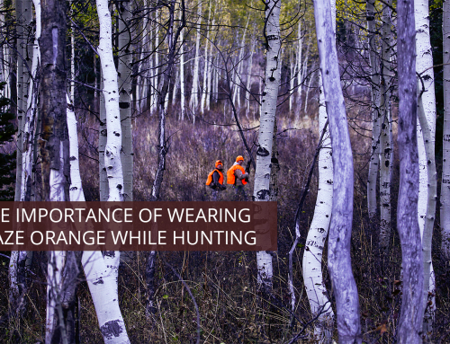 The Importance of Wearing Blaze Orange While Hunting