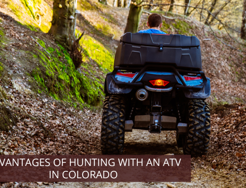 Advantages of Hunting with an ATV in Colorado