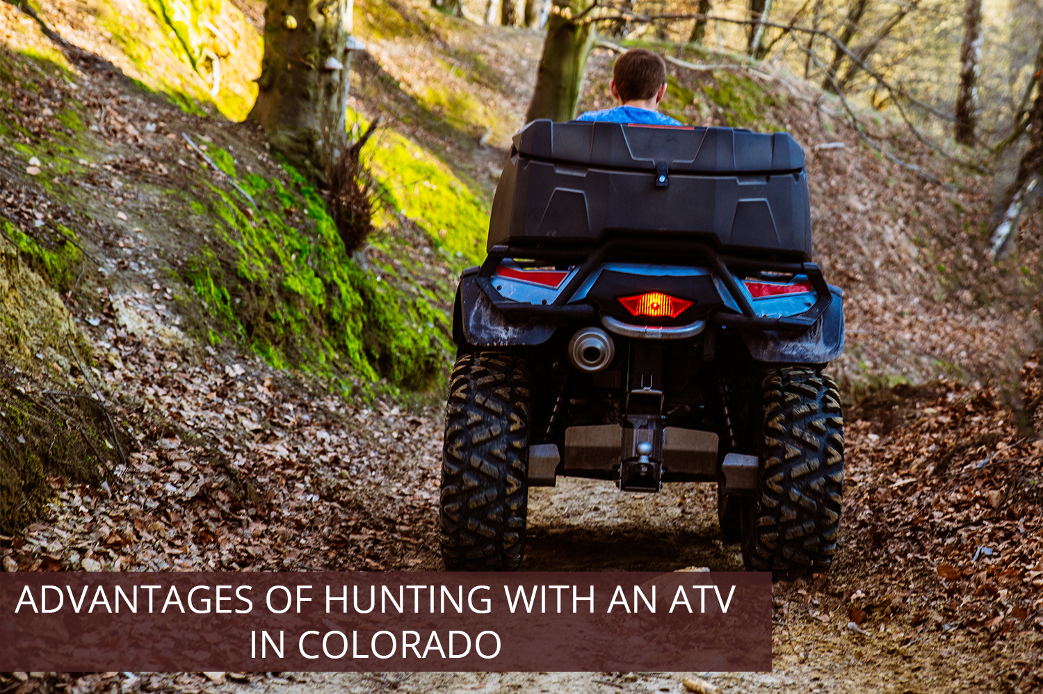 An anonymous man hunting with an ATV in Colorado on a trail.