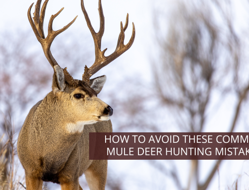 How to Avoid These Common Mule Deer Hunting Mistakes