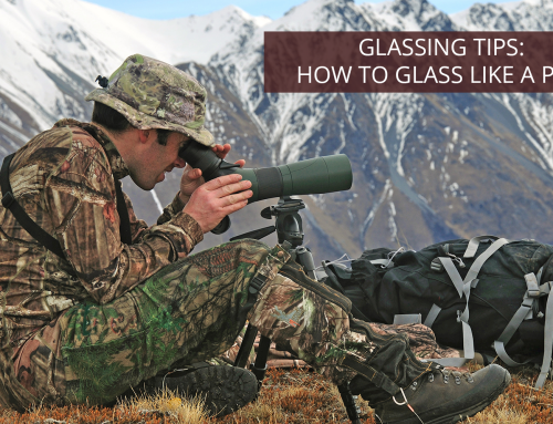 Glassing Tips: How to Glass Like a Pro