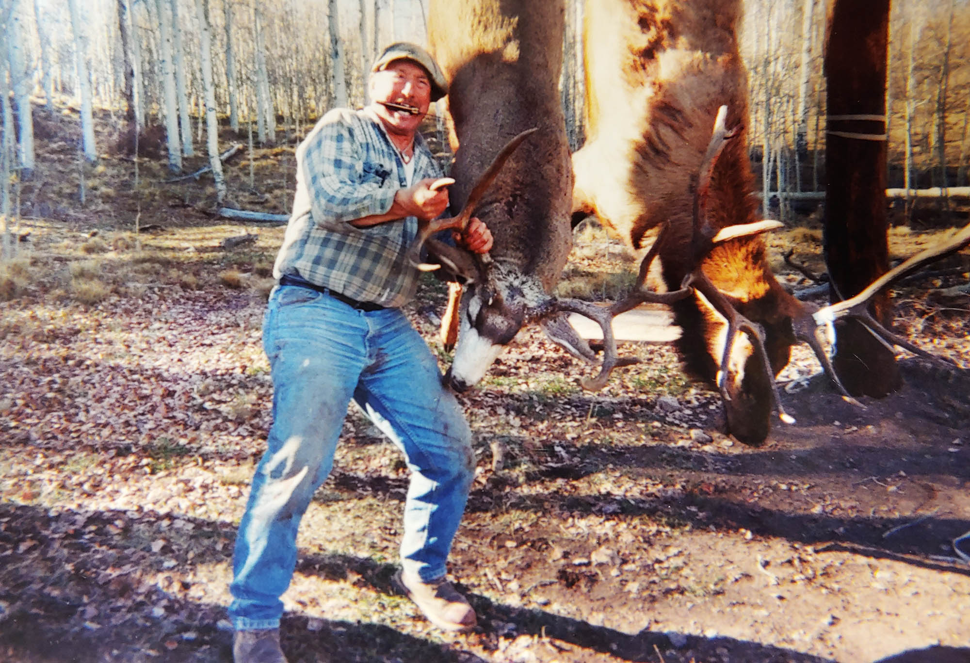 Mule Deer after hunting Western Colorado