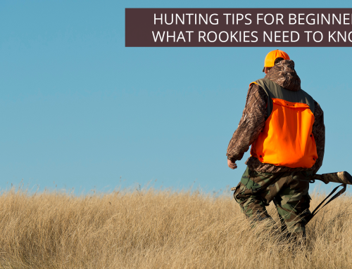 Hunting Tips for Beginners: What Rookies Need to Know