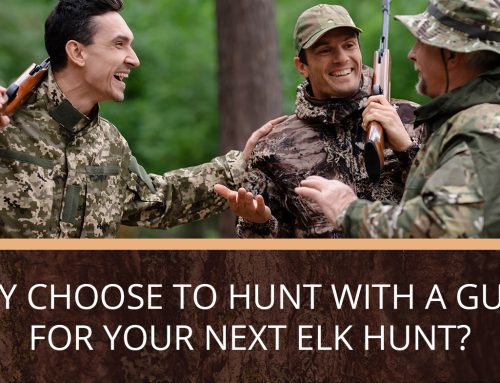 Why Choose to Hunt with a Guide for Your Next Elk Hunt?