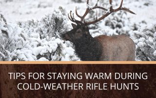 An example of elk spotted on cold-weather rifle hunts.